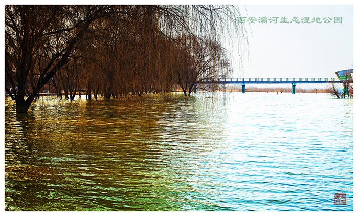 IMG_3671_副本.jpg