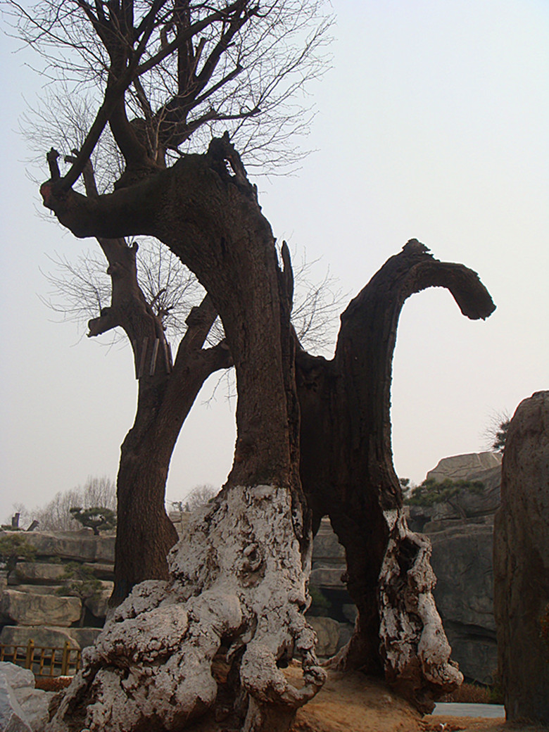 DSC03294_副本.jpg