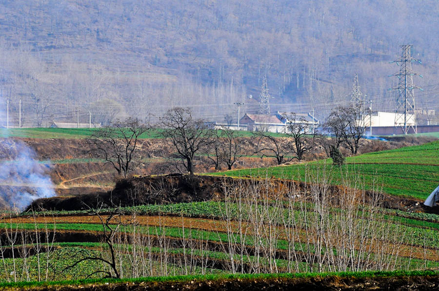 DSC_9892.jpg