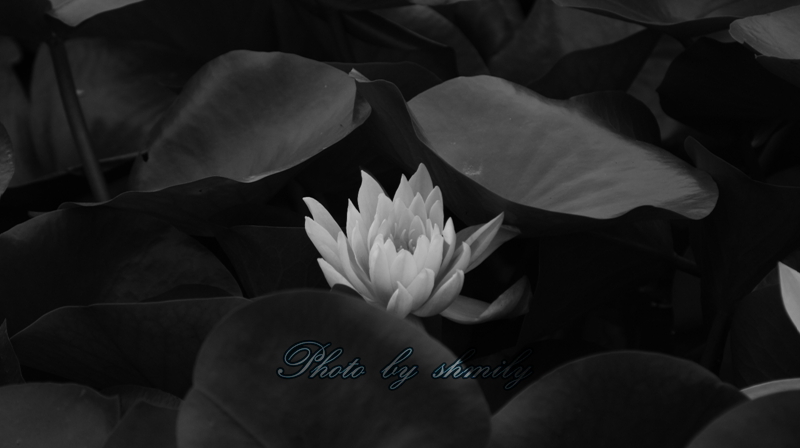 DSC03148.jpg
