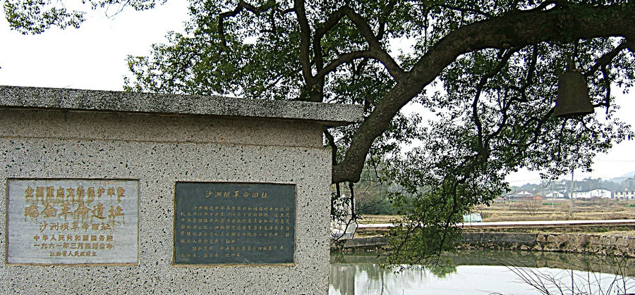 DSCF4756.jpg