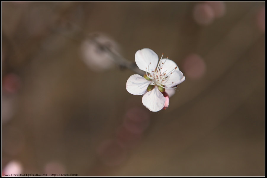 IMG_4827.jpg