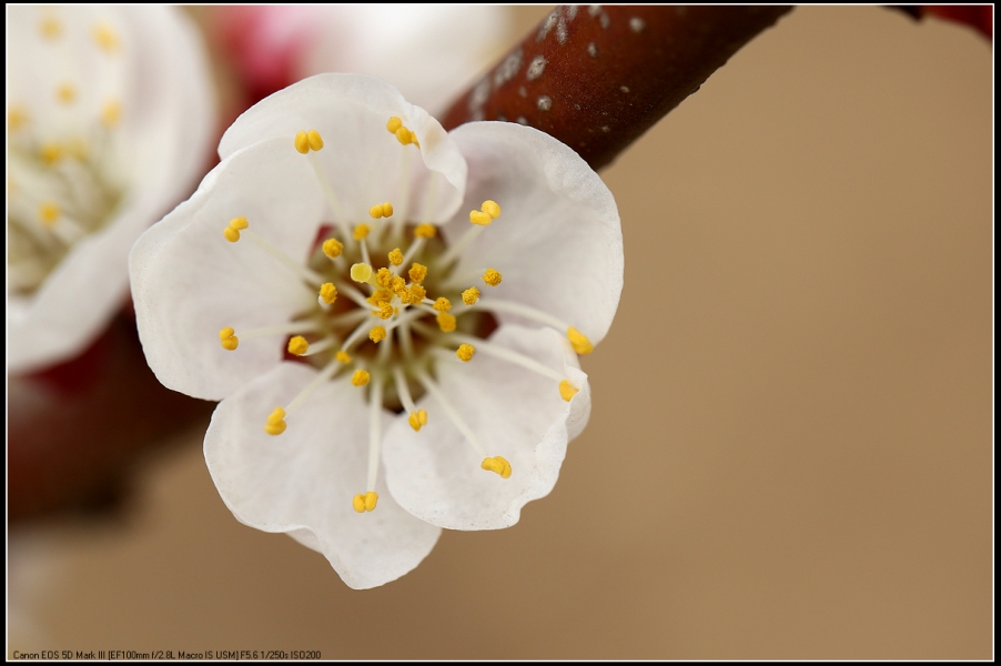 5D3A0068.jpg