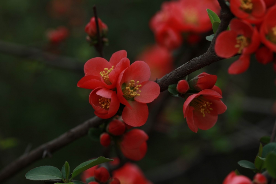 调整大小 IMG_4494.jpg