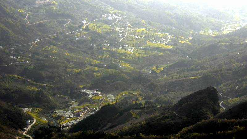 DSC_2851.JPG