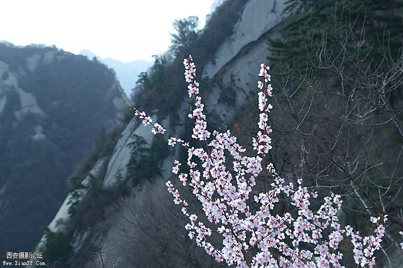 DSC_0804_副本.jpg