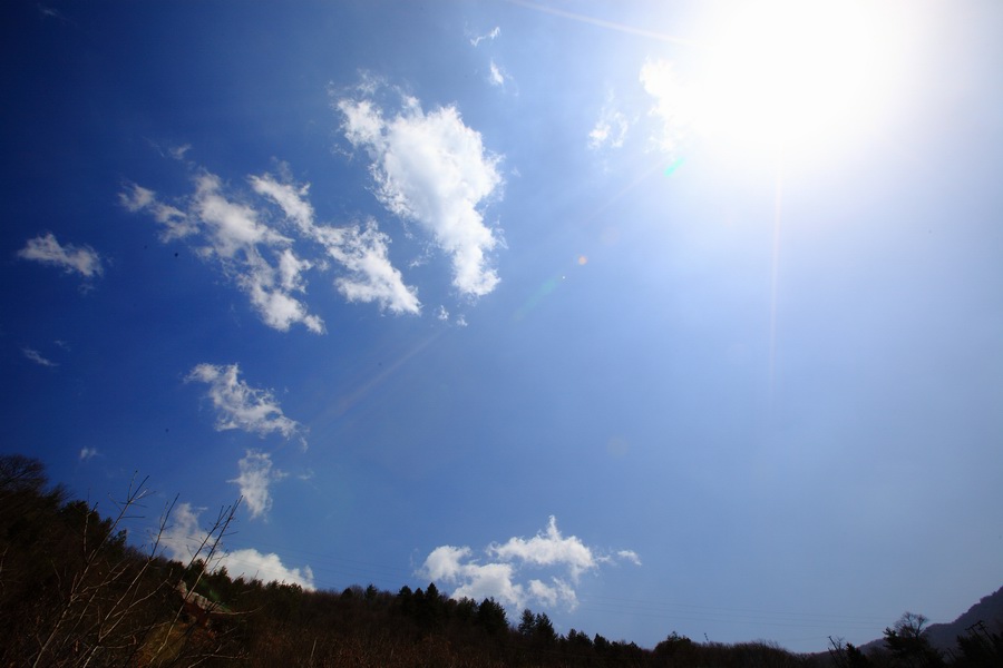 调整大小 IMG_5038@.JPG