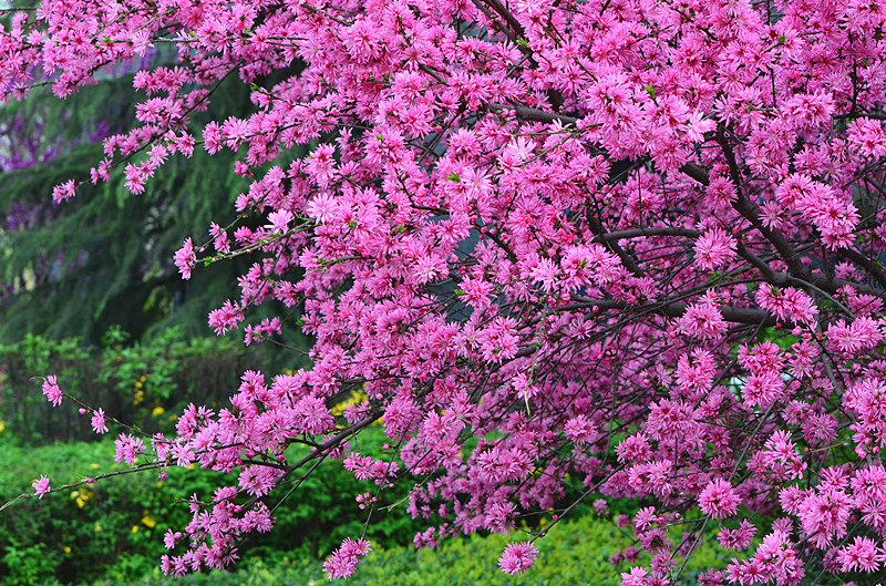 照片 047_副本.jpg