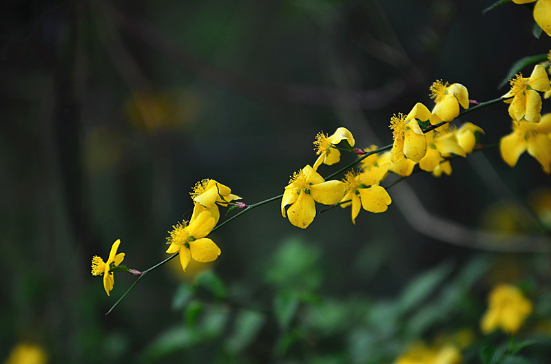 照片 049_副本.jpg