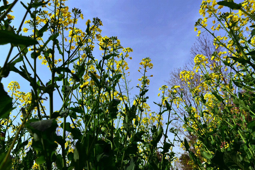 D600最近3月份拍摄 092.JPG
