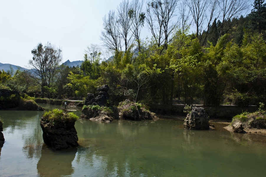 DSC_7791.jpg