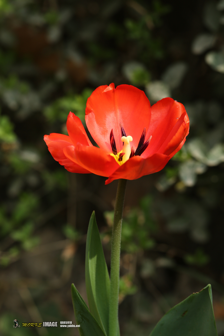 1G8A4828a.jpg