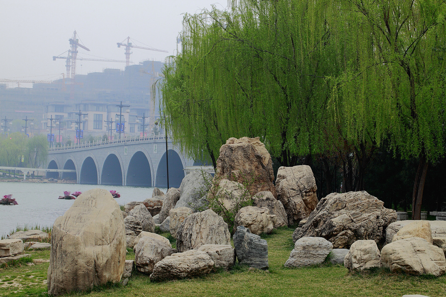 _MG_8398.jpg