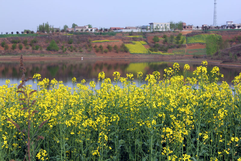 IMG_2584 副本.jpg