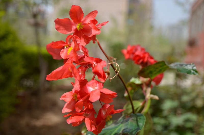 DSC_2503.JPG