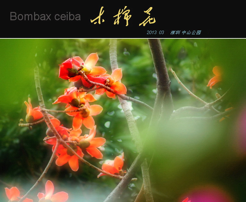 2_副本a.jpg