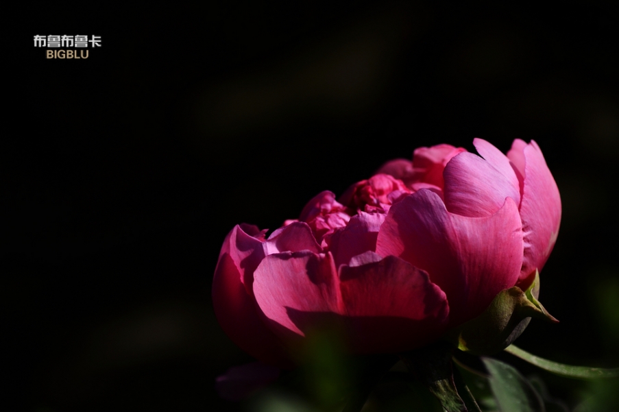 _DSC3180.jpg