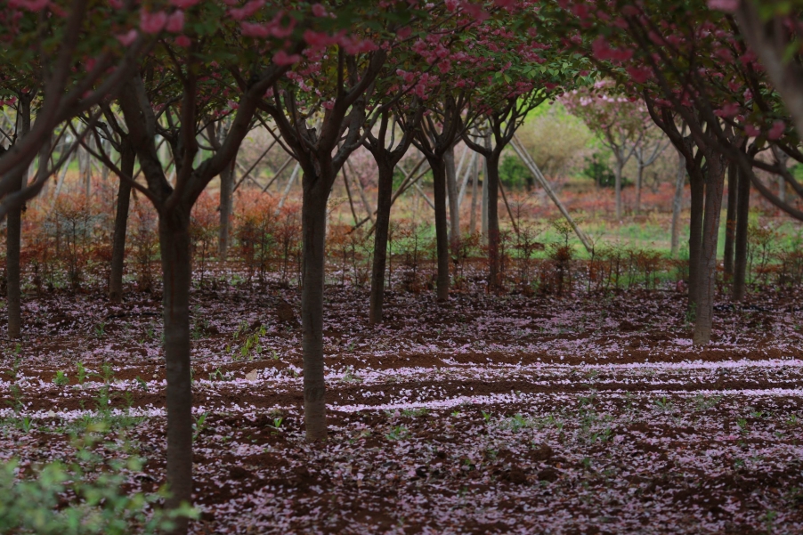 调整大小 IMG_6402h.jpg