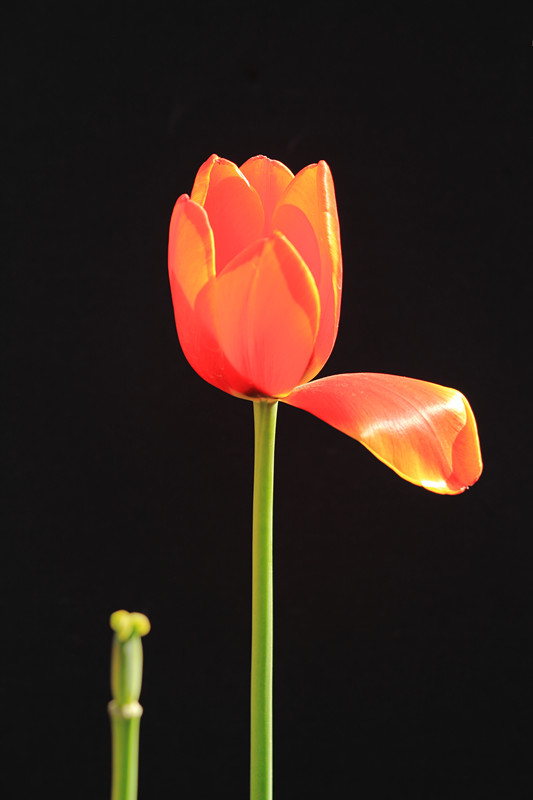 IMG_8017_副本.jpg