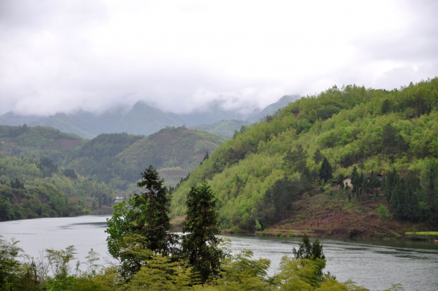 DSC_0275.JPG
