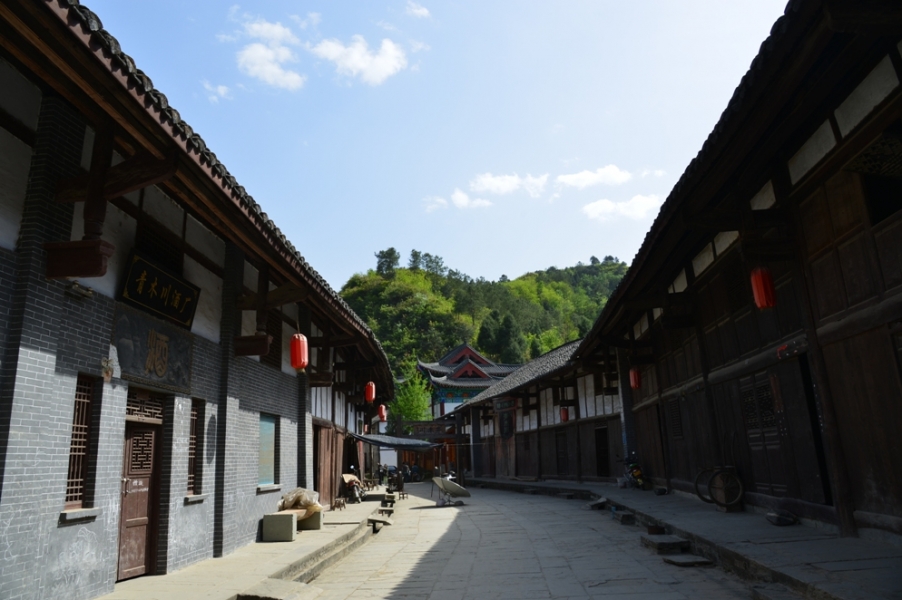 DSC_1382.JPG