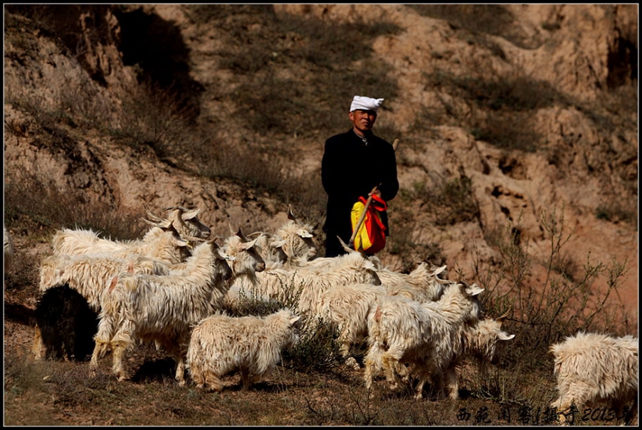 牧羊人.jpg