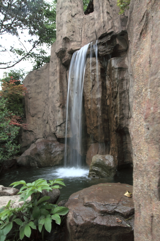 DPP_0033.JPG