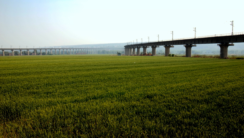 DSC_3154.JPG