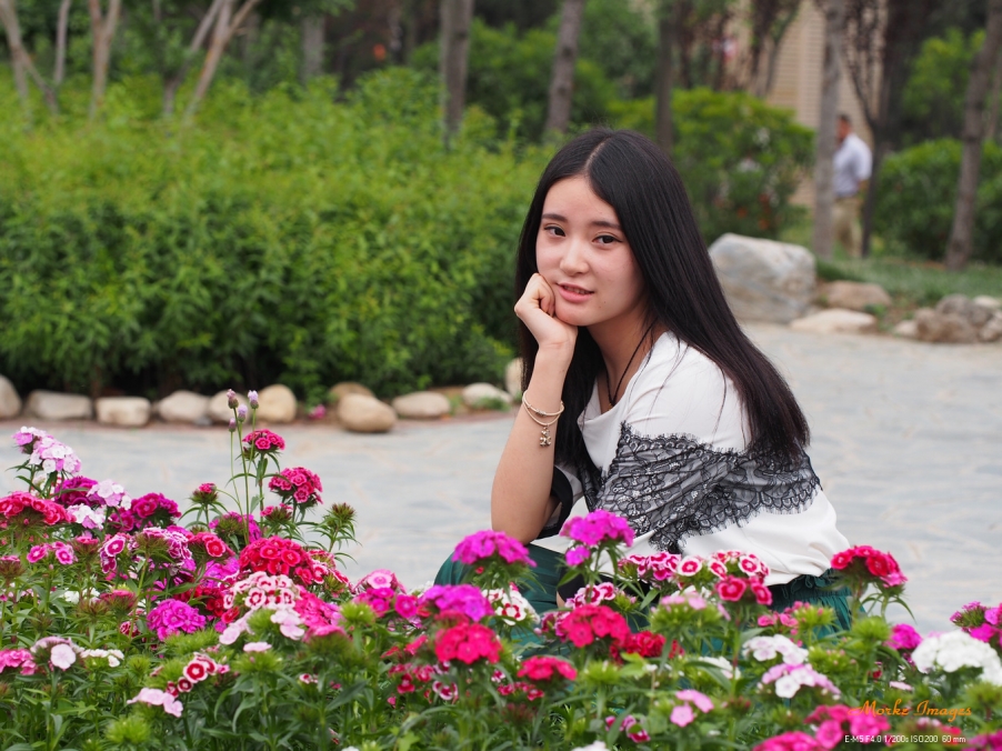 P5015604a.jpg