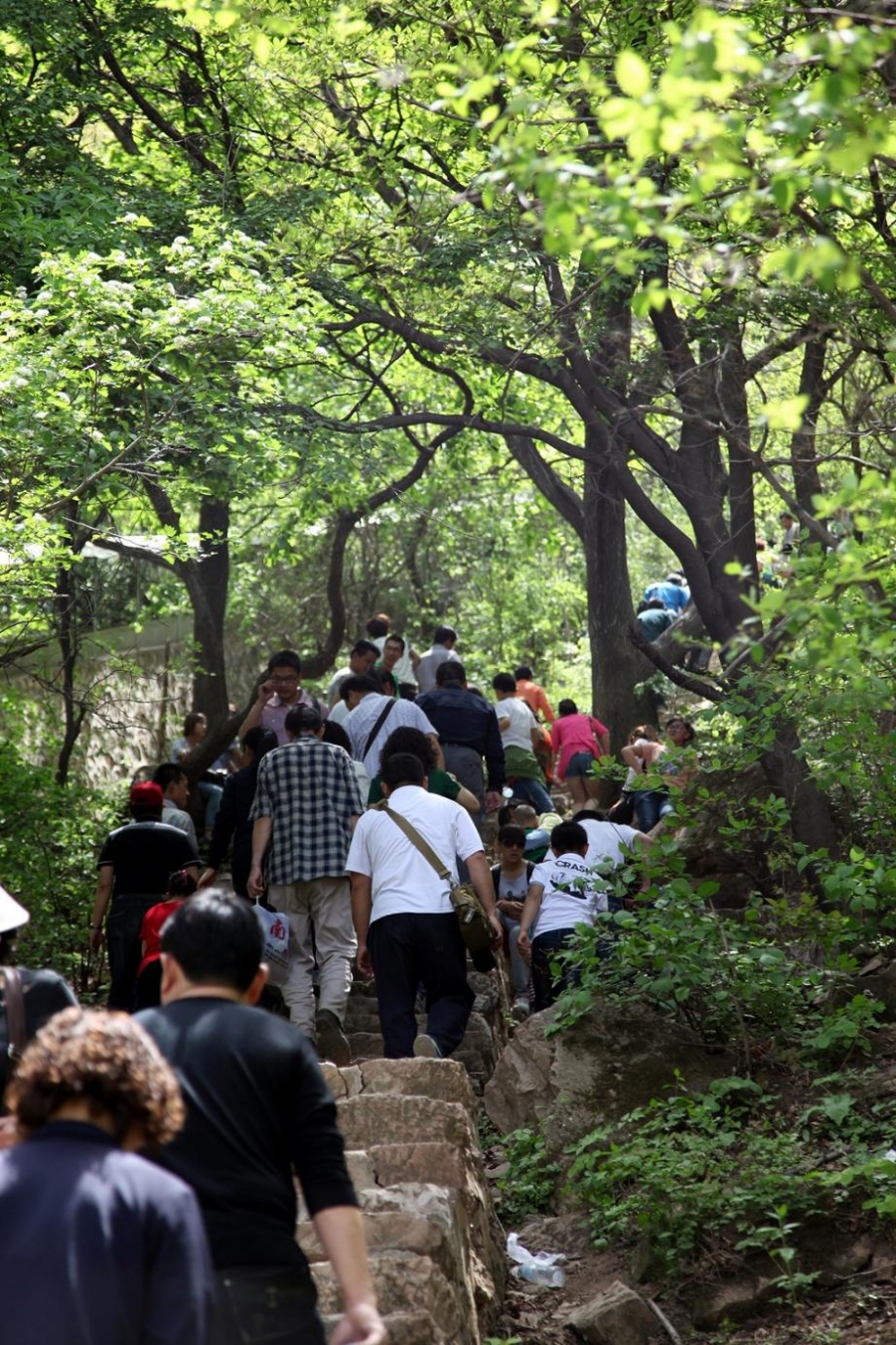 2,从这里小道可登到顶峰 (1).jpg