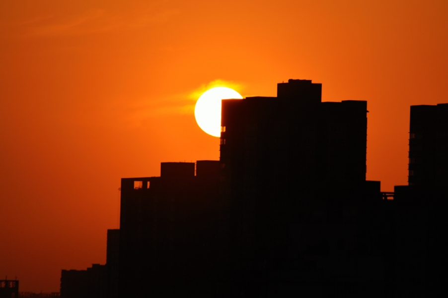 DSC_6554.jpg