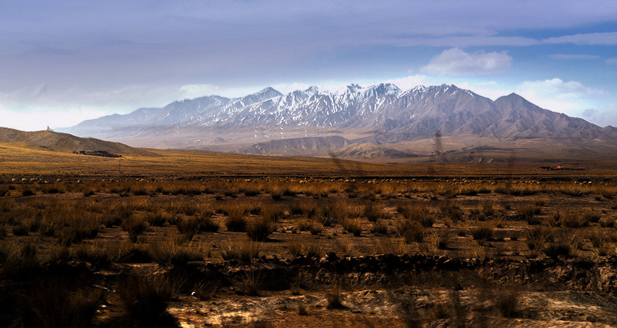 DSC_0899.jpg