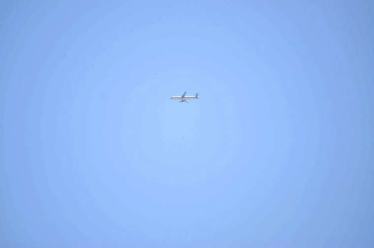 樱桃谷 (24)_副本.jpg