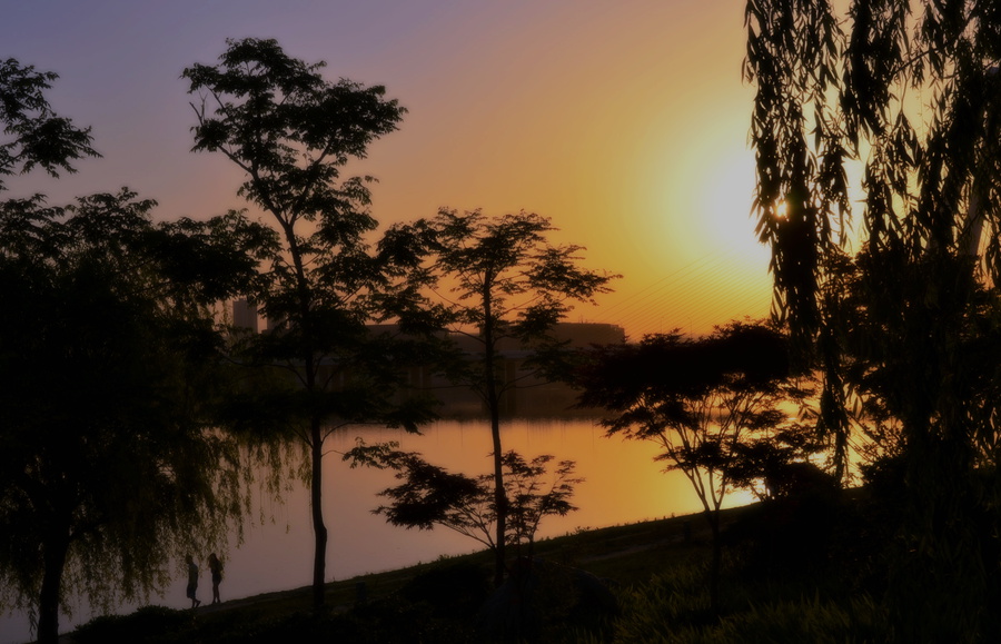 DSC_3598.jpg