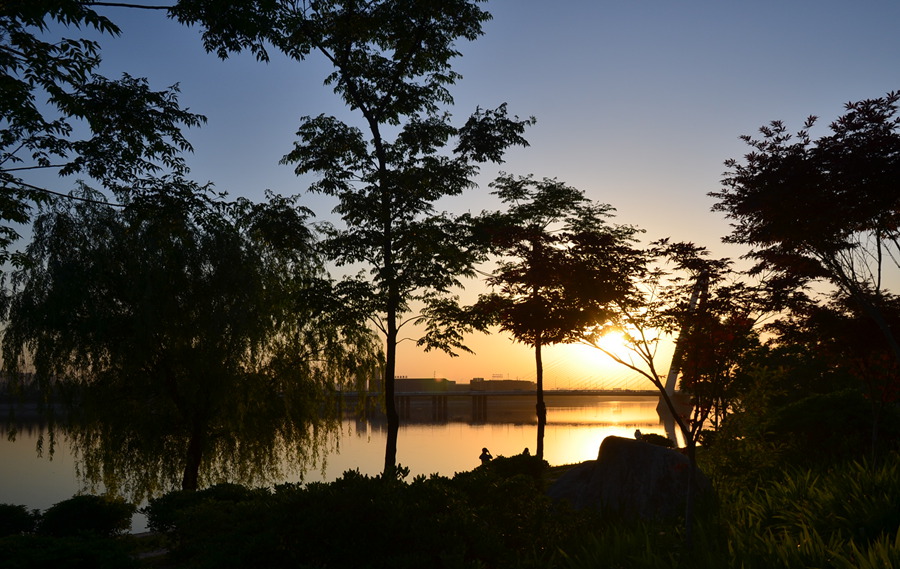 DSC_3601.jpg