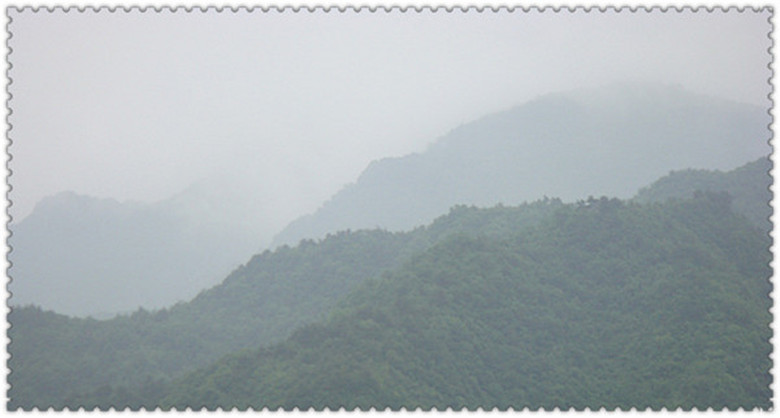 DSC07187_副本_副本.jpg
