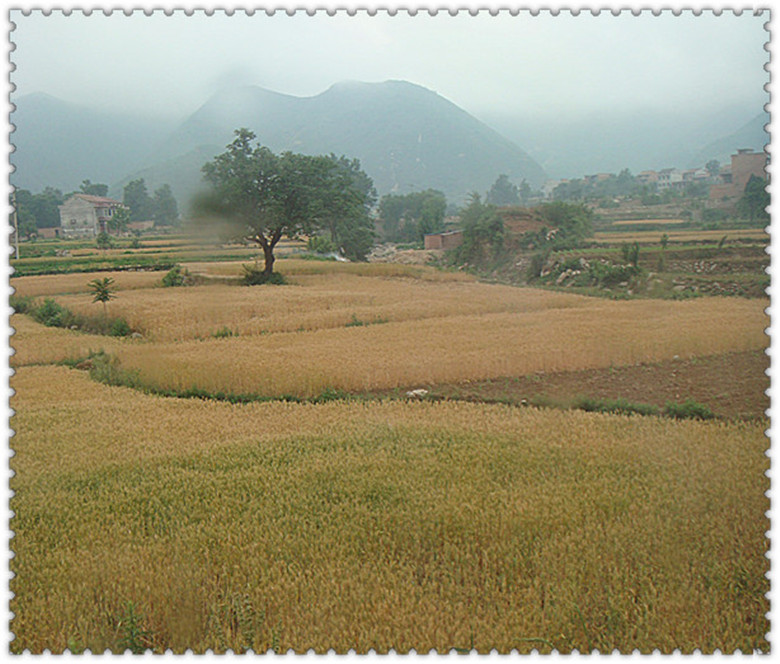 DSC07161_副本_副本.jpg