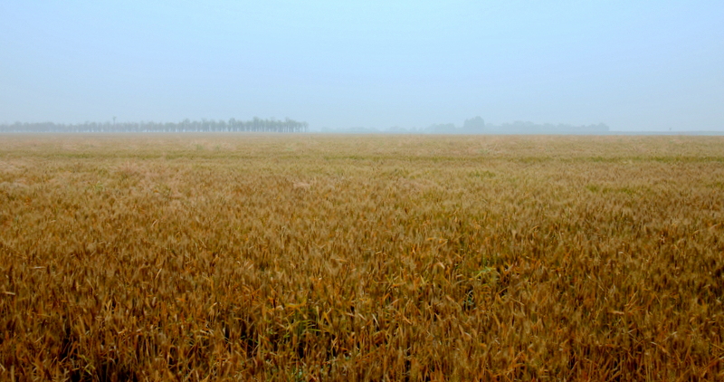 DSC_3400.JPG