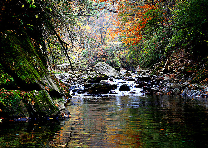 照片 229_副本.jpg