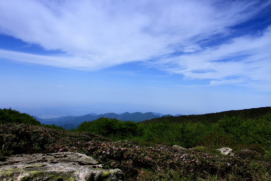 秦岭光头山13.JPG