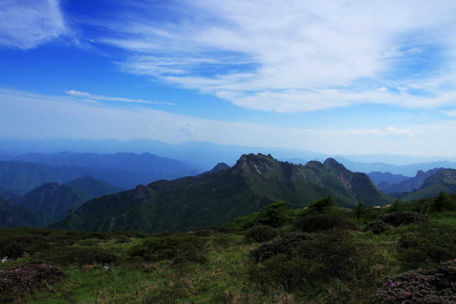 秦岭光头山24.JPG