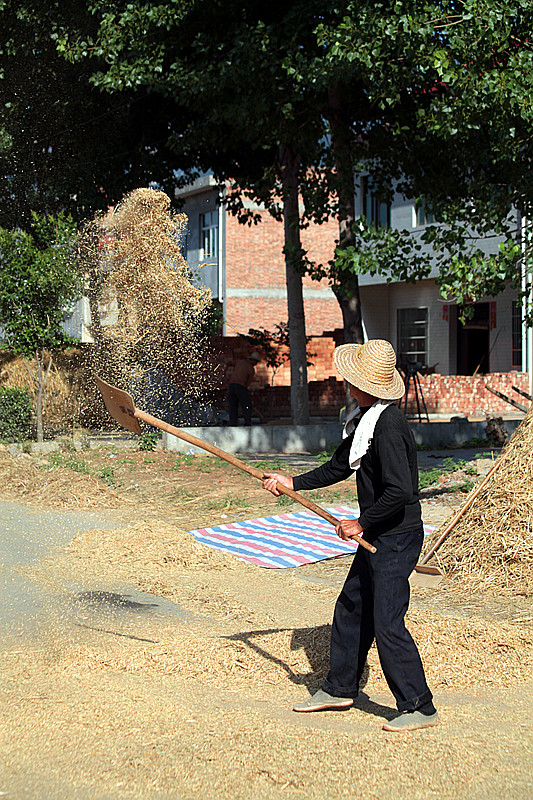 复件 蓝田三夏 067_副本.jpg