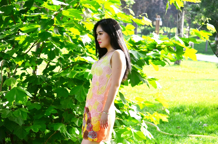 DSC_2898.JPG