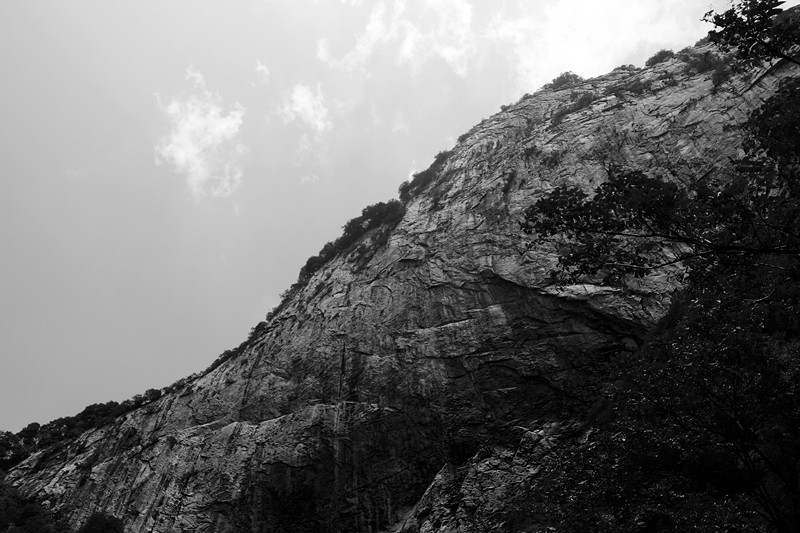 IMG_1208_副本.jpg