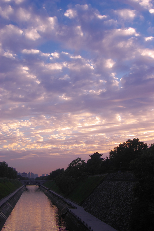 IMGP4852.jpg