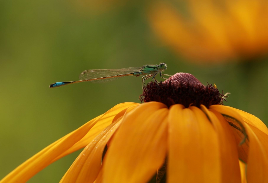 调整大小 IMG_8376.jpg