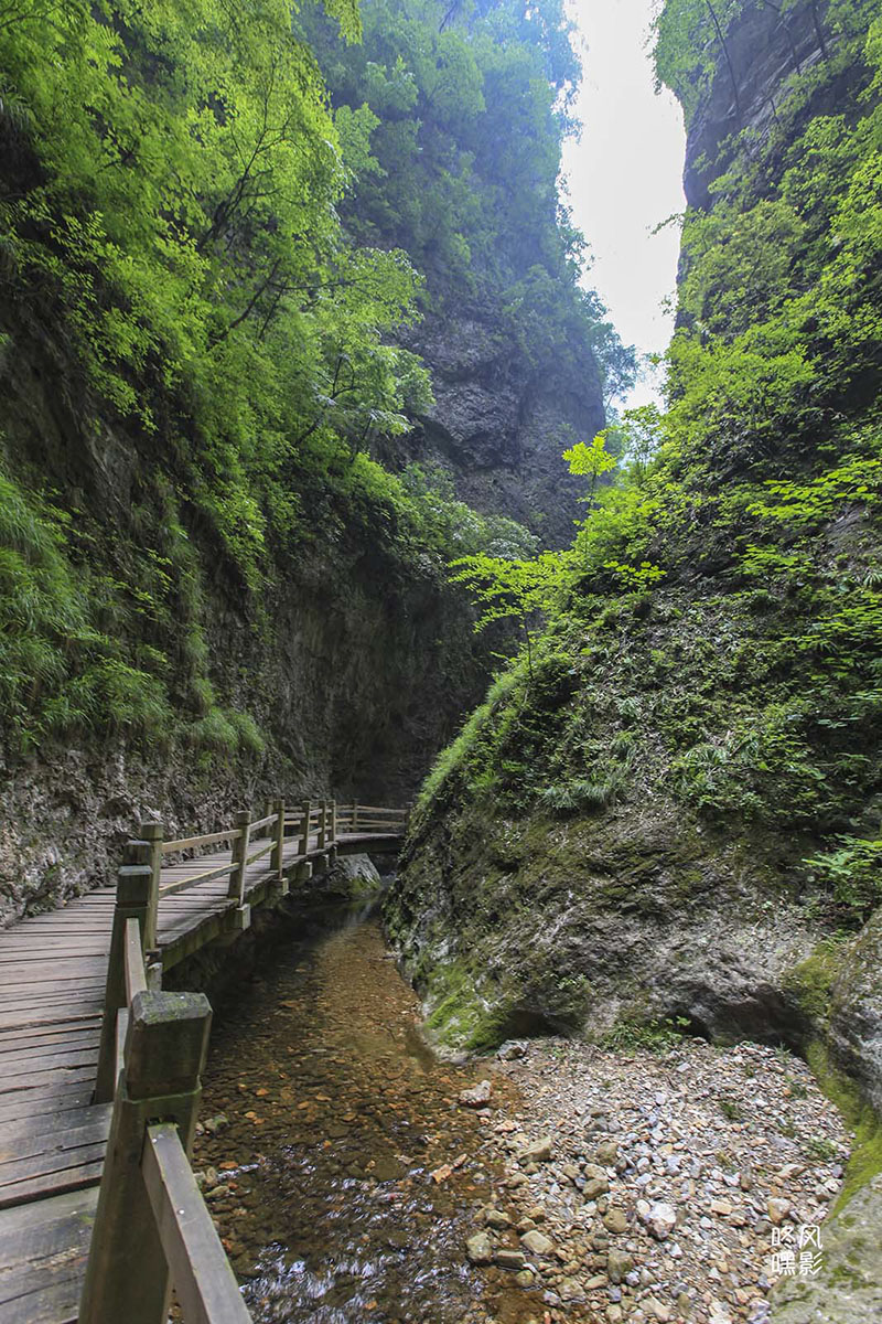 20130615_0401.jpg