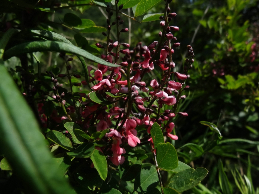 DSC01850_调整大.jpg
