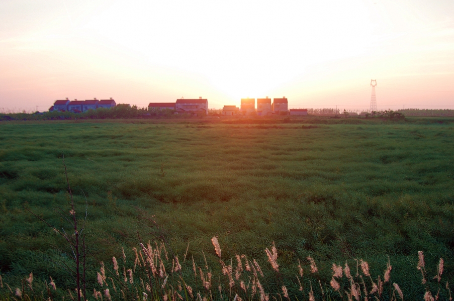 夕阳 (1)_副本.jpg