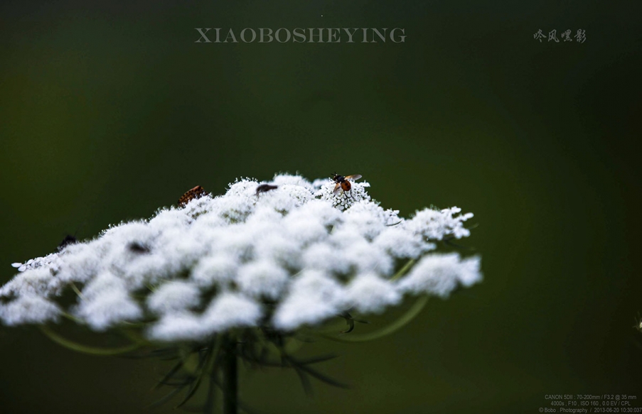 20130620_0878副本副本.jpg